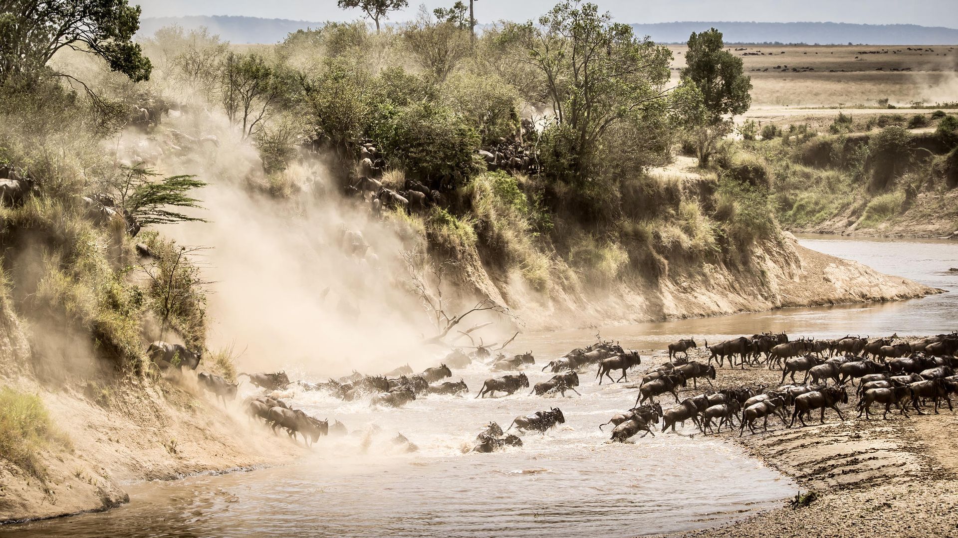 Serengeti River Camp » Matoke